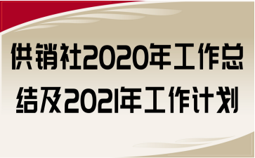 N2020깤Y(ji)2021깤Ӌ